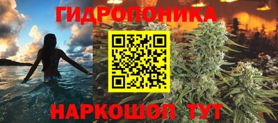 скорость Берёзовский