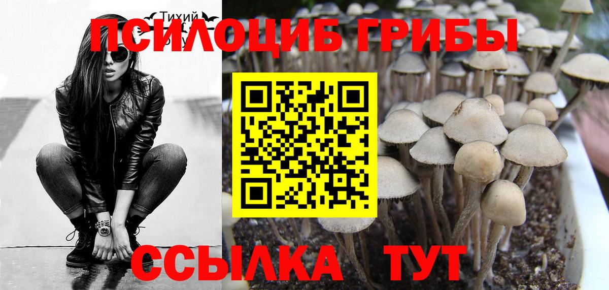 Галлюциногенные грибы MAGIC MUSHROOMS Кемерово